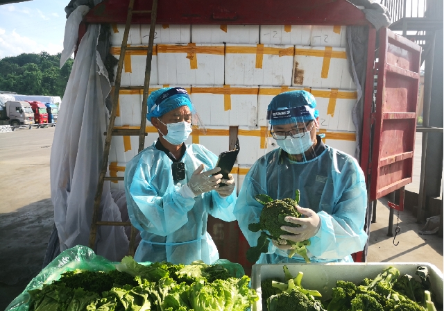 云南自贸区挂牌两周年，区内海关注册企业累计实现进出口559.3亿元 昆明海关供图