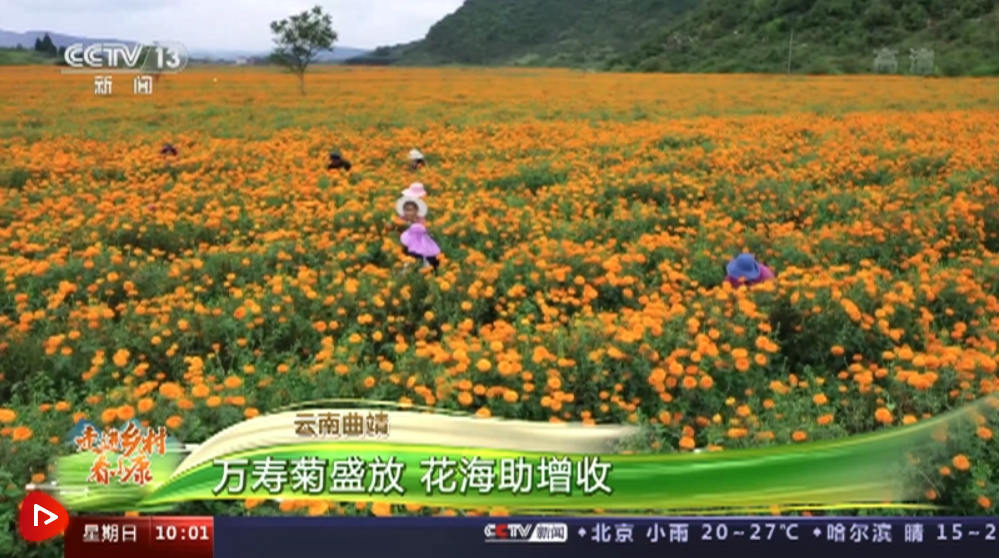 微信截图_20210905223212