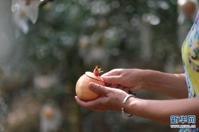 1310167850_16308626953591n