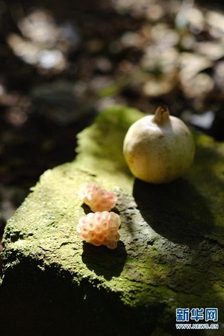 1310167850_16308626954611n