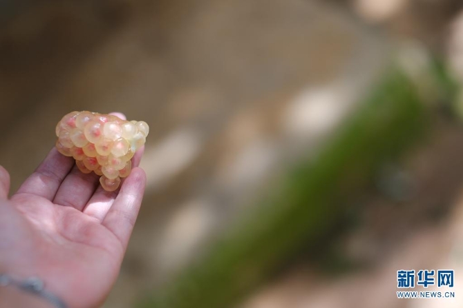 1310167850_16308626955151n