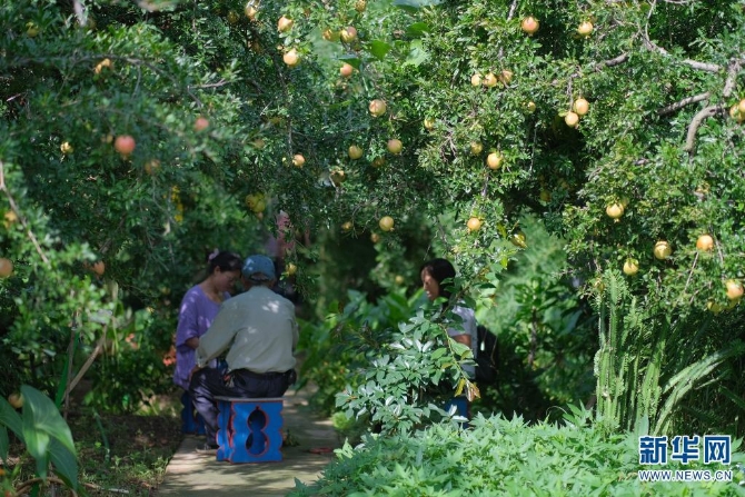 1310167850_16308626955621n