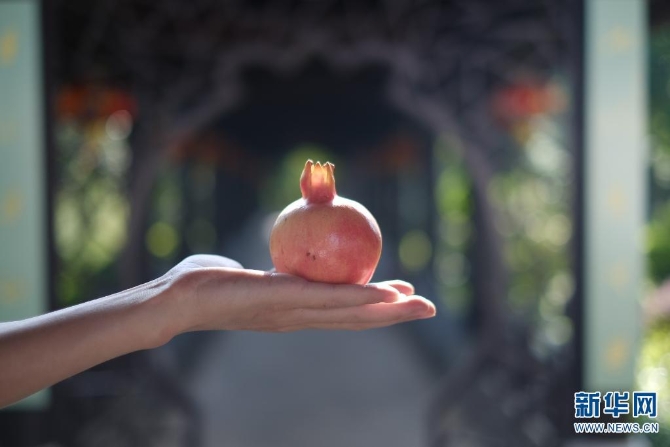 1310167850_16308626961221n