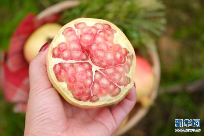 1310167850_16308626961821n