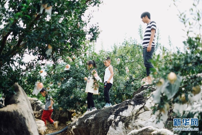 1310167850_16308626962441n