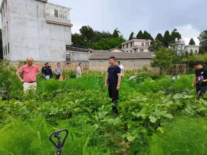 微信图片_20210906171839