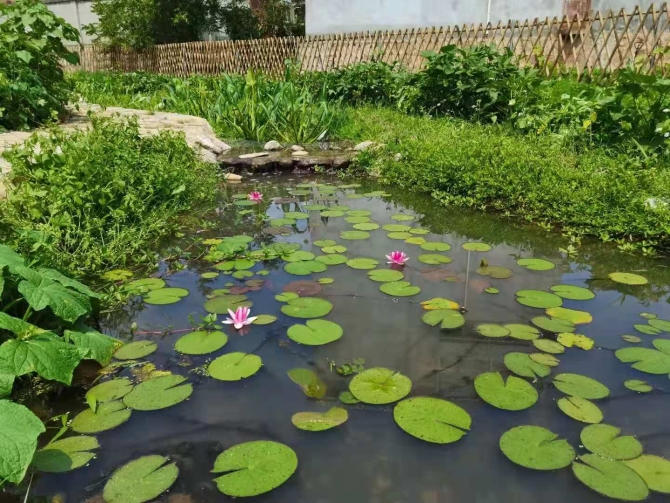 微信图片_20210906171825