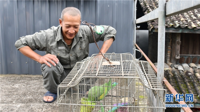 1310172948_16309871879671n