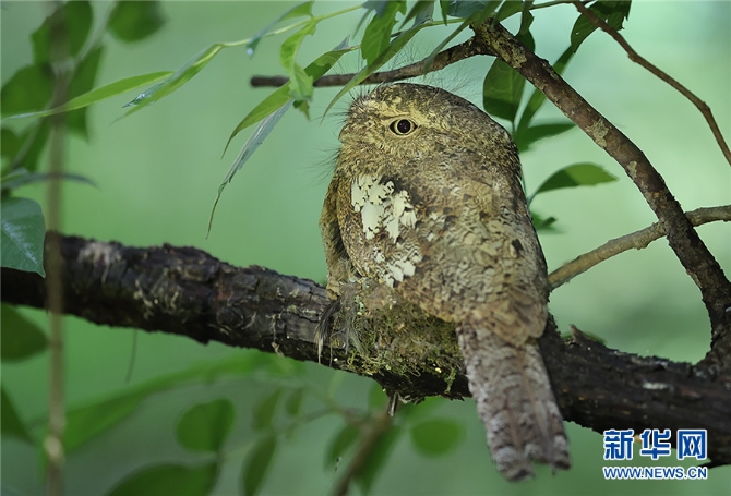 1310172948_16309871885101n