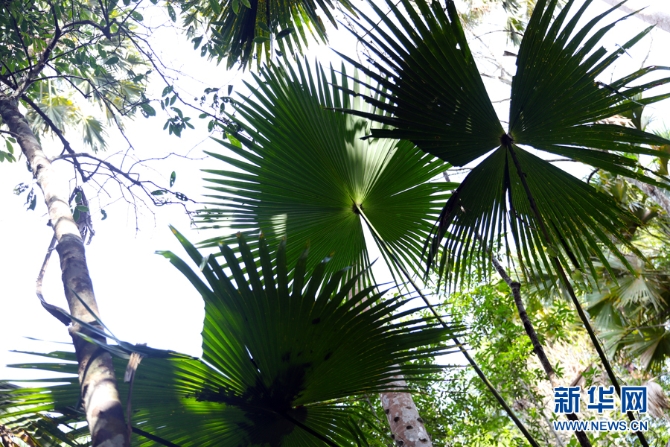 1310172948_16309871889651n