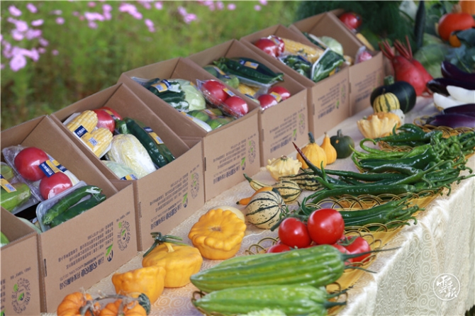 GetAttachment (18).jpg