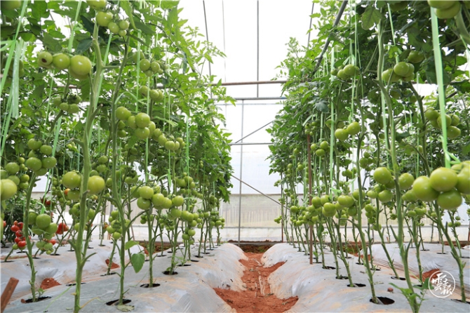 GetAttachment (20).jpg