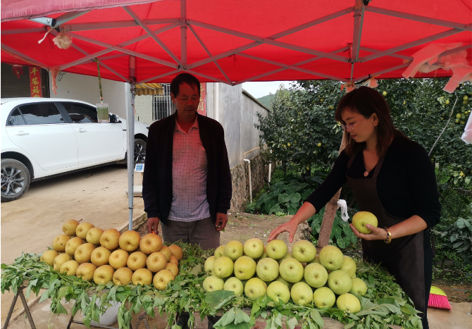 QQ截图20210913172610