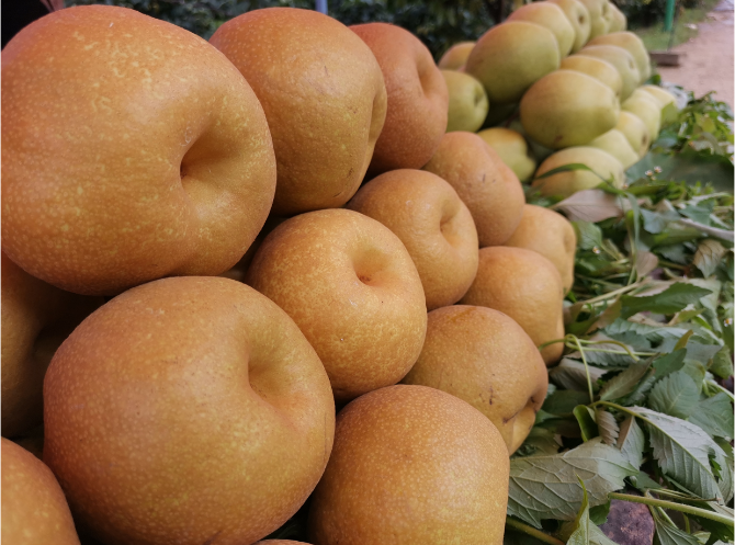 QQ截图20210913172826