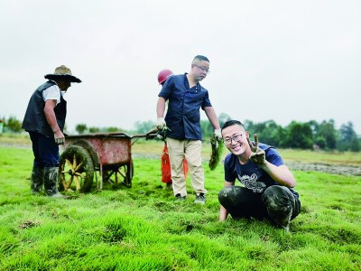 衔一片乡心还巢——重返乡村的创业青年 衔一片乡心还巢——重返乡村的创业青年