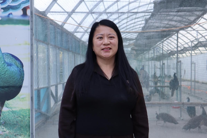 (周海燕和她身后的孔雀舍 央视网记者 王静远 摄)
