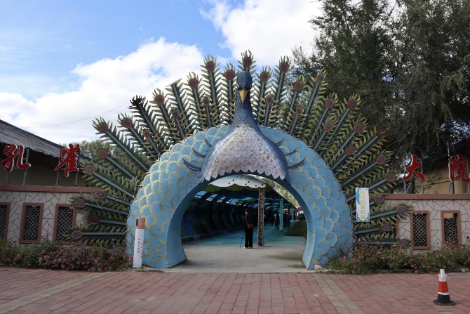 (孔雀园 央视网记者 王静远 摄)