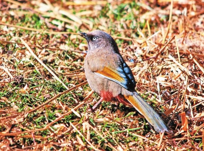 e3452a55-517d-45fc-9b51-f22f5ea179f2