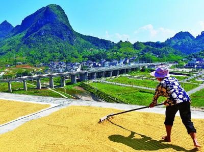 俯身大地，种下粮丰民富的心愿