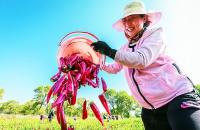 俯身大地，种下粮丰民富的心愿