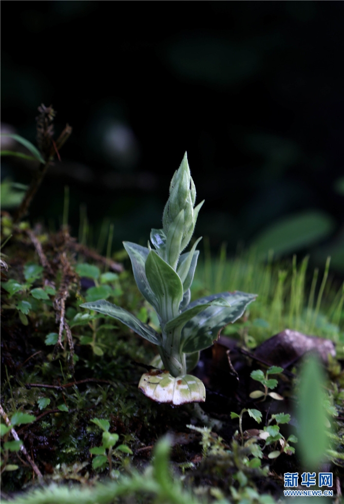 1310209788_16326170281641n