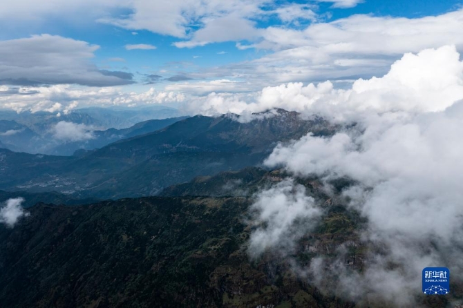 1310209803_16326165352931n