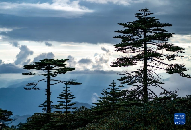 1310209803_16326165354501n