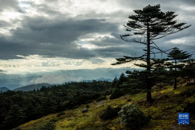 1310209803_16326165355531n