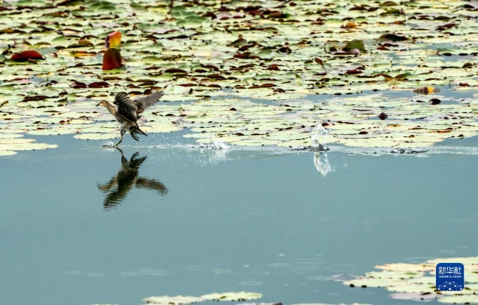 1310212018_16327089376991n