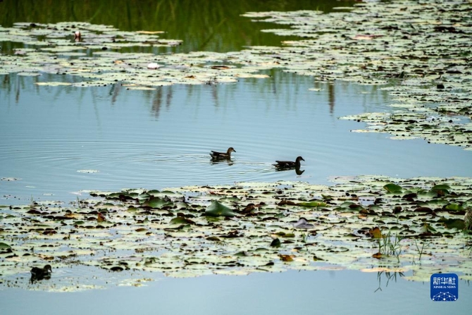 1310212018_16327089382691n