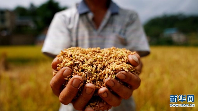 1310209024_16326170257581n