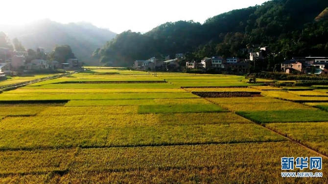 1310209024_16326170261131n