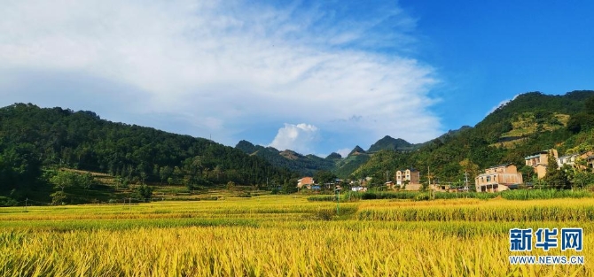 1310209024_16326170261701n