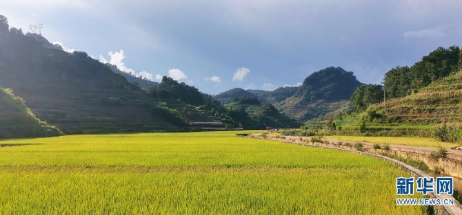 1310209024_16326170262181n