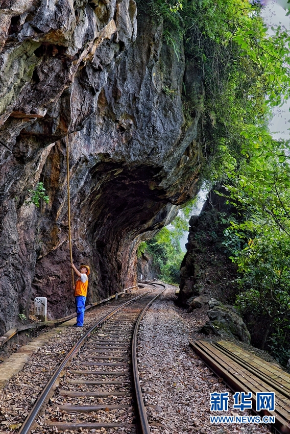 1310215108_16328769366111n 1310215108_16328769366111n