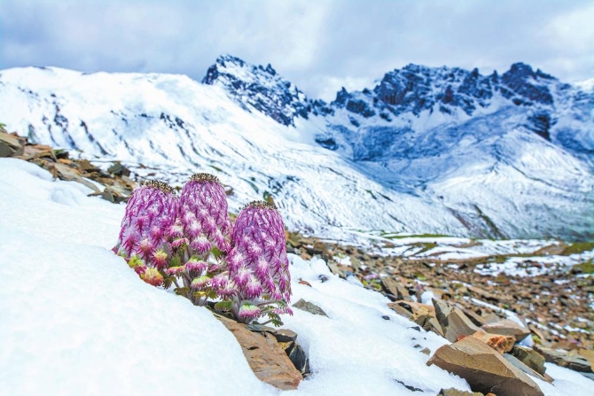 b3dee209-5c5c-4850-82c4-fa1844e20767.jpg b3dee209-5c5c-4850-82c4-fa1844e20767.jpg