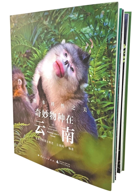 add4ef95-49b8-4dc8-9d05-4cb54a179945.jpg add4ef95-49b8-4dc8-9d05-4cb54a179945.jpg