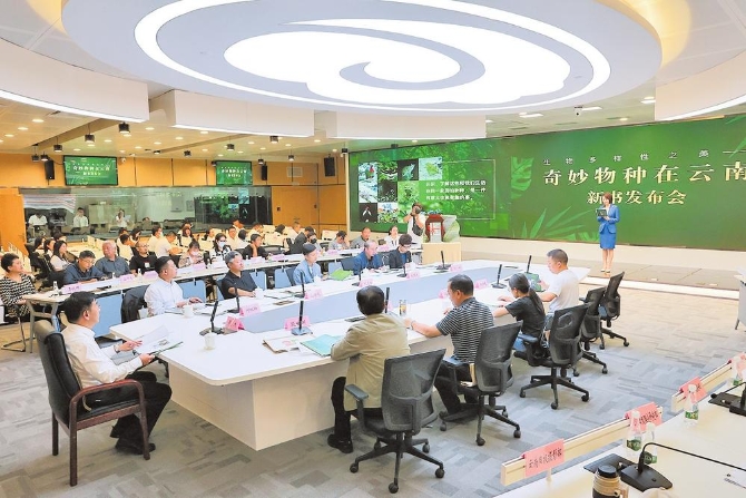 6cfa24bf-9d28-444c-8edb-3c5439529b7f.jpg 6cfa24bf-9d28-444c-8edb-3c5439529b7f.jpg