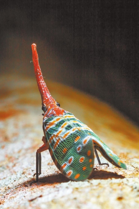 f57c425c-5b19-4400-b244-d087ed2b011d.jpg f57c425c-5b19-4400-b244-d087ed2b011d.jpg