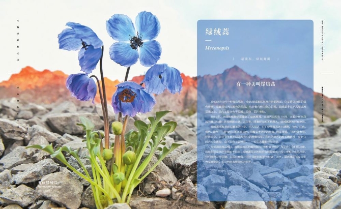 8ac91783-5526-47ea-8259-2dab63876c45.jpg 8ac91783-5526-47ea-8259-2dab63876c45.jpg