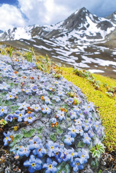 3127874e-f726-4d09-922e-31dc4c22aacc.jpg 3127874e-f726-4d09-922e-31dc4c22aacc.jpg