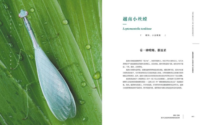 d462c232-d121-4fb8-a93b-dbe2d0a41a77.jpg d462c232-d121-4fb8-a93b-dbe2d0a41a77.jpg