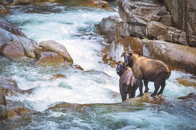 4ec24c91-2ebf-4c81-af14-ff540f245863.jpg 4ec24c91-2ebf-4c81-af14-ff540f245863.jpg