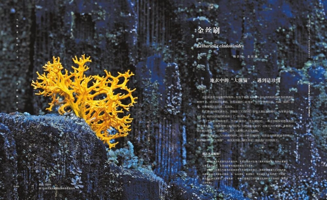 df53cbde-f477-4ab6-9d9d-252902552e5b.jpg df53cbde-f477-4ab6-9d9d-252902552e5b.jpg