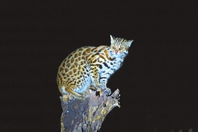 277c1d8c-a931-4304-9143-b3355689d671.jpg 277c1d8c-a931-4304-9143-b3355689d671.jpg