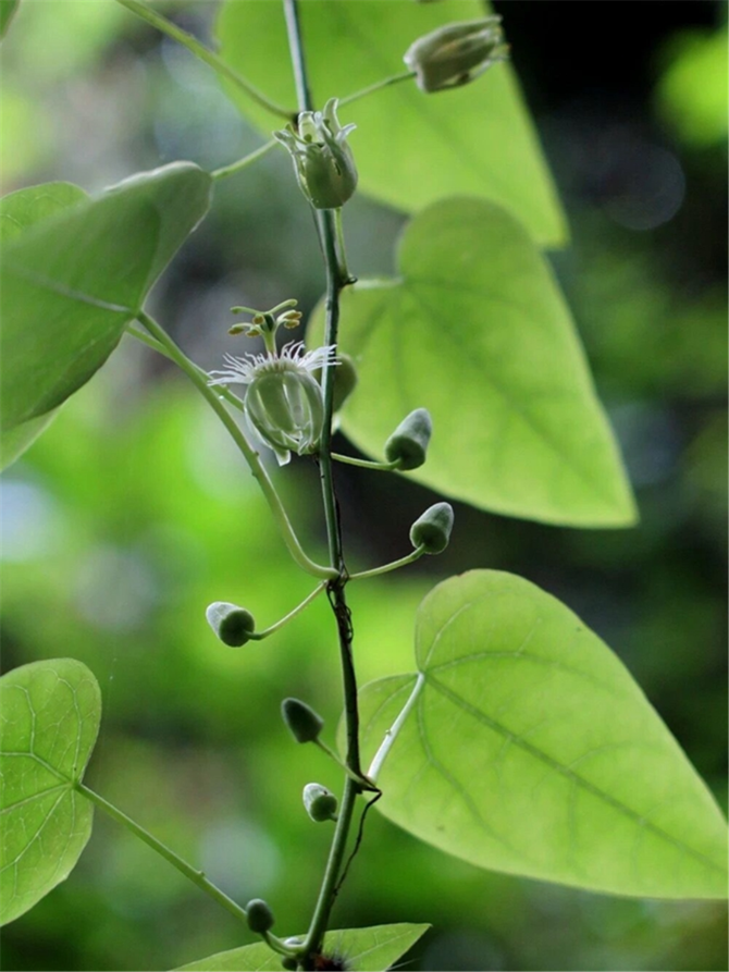 00304213023_382cbaef