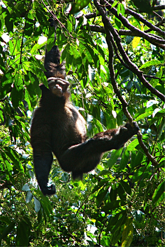 00304213029_6a3517f2