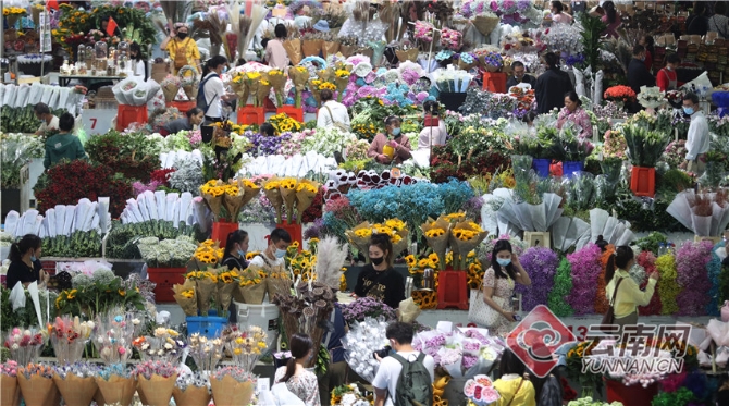 00304213543_0c232437