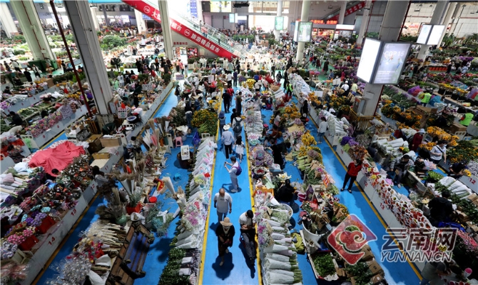 00304213544_8411e4d2