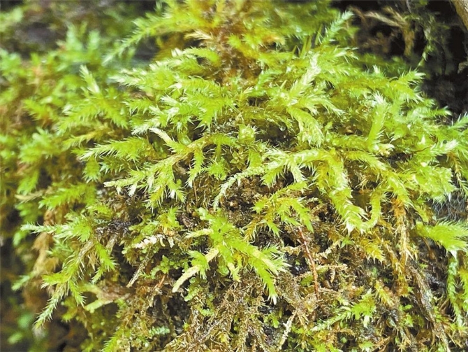 00304213570_034ded5c